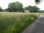Erve Asbroek